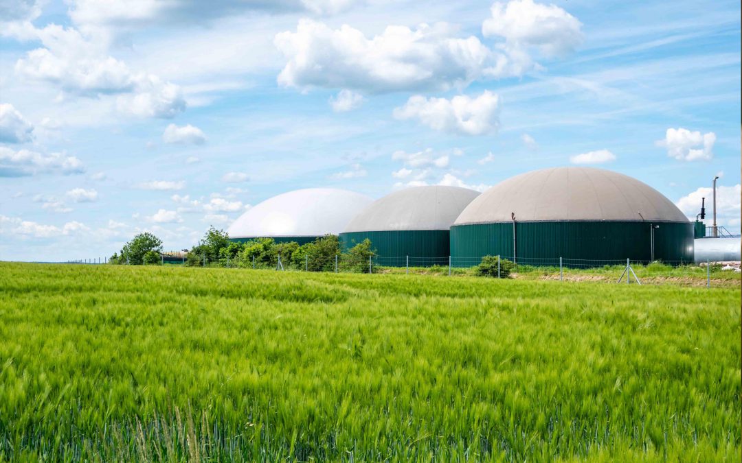 Hvad er afsvovling af biogas, og hvorfor er det nøglen til ren energi?