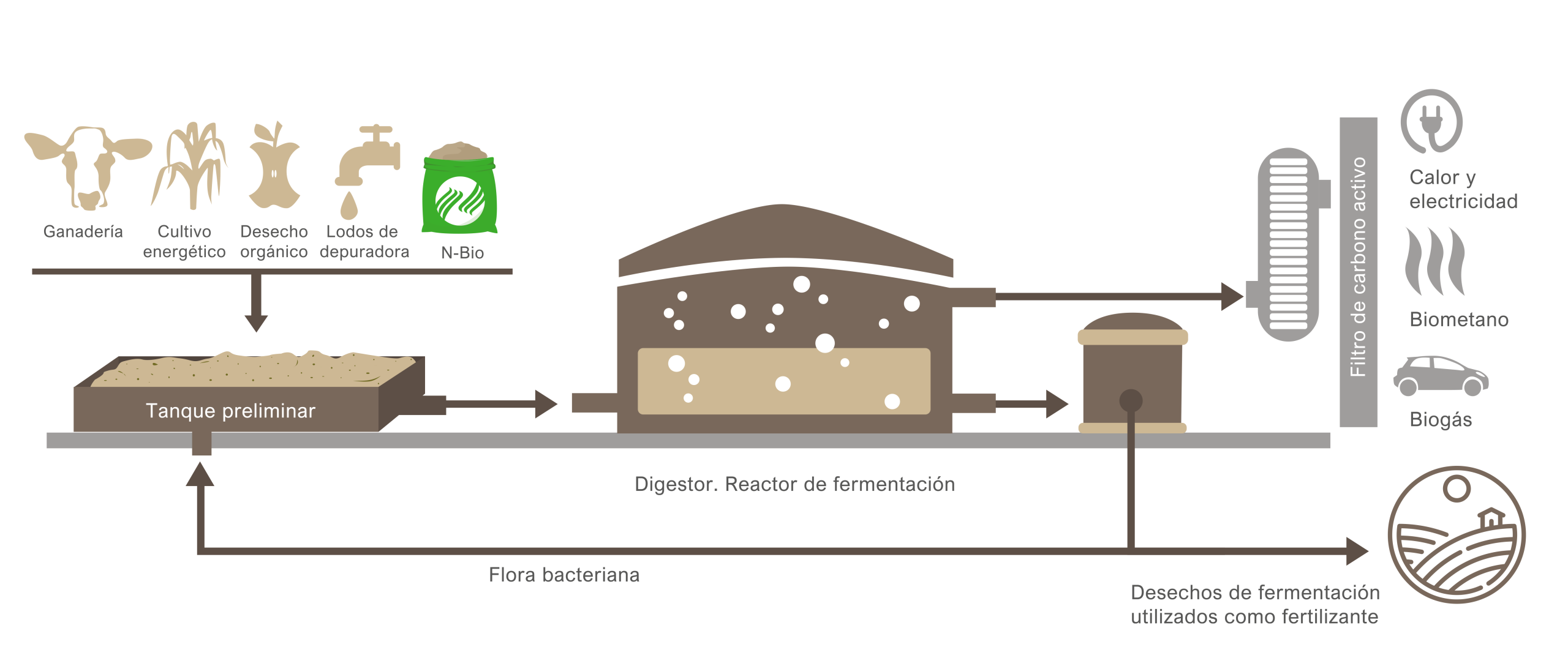 Biogas production process diagram showing how N-Bio improves digestion and reduces H₂S.